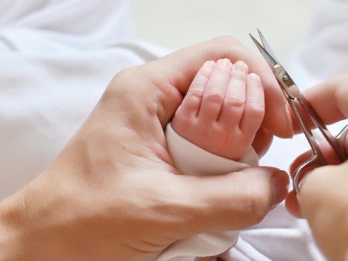 stříhání nehtů, čištění uší a pupíku stříhání nehtů, čištění uší a pupíku