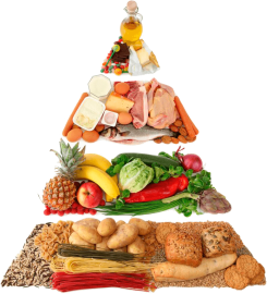 potravinová pyramida potravinová pyramida